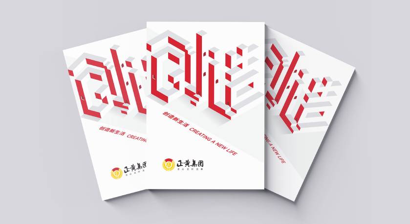 宁蒗宣传册设计：以精准触达，奏响城市发展的时代旋律